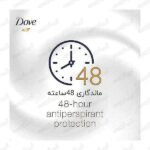 استیک قارچی داو