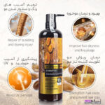شامپو بدون سولفات LIGHTNESS لایتنس مدل ARGAN OIL & PROTEIN