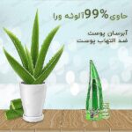 ژل آبرسان ALOE VERA مدل99%