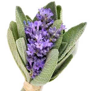 خمیر دندان کلگیت گیاهی