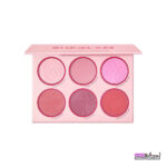 پالت رژگونه SHEGLAM شیگلم مدل BLUSHING BOUQUET