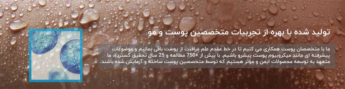 لاروش پوزای