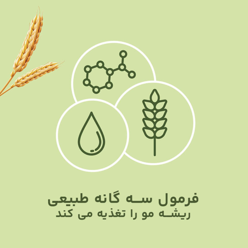 عکس بسته قرص پریورین بایر آلمان با اثربخشی بالا برای ریزش مو