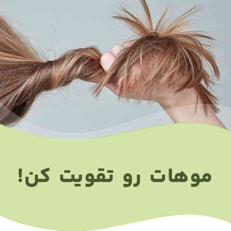 قرص پریورین برای تقویت فولیکول مو در زنان و مردان