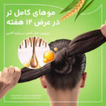 ترکیبات و ویتامین‌های موجود در قرص پریورین آلمانی