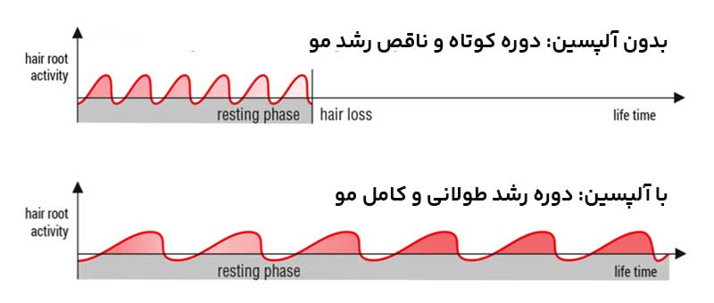 قیمت لیکویید آلپسین