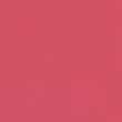 تینت لب شیگلم PRIMP CSHEGLAM TAKE A HINT LIP TINT