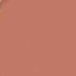 تینت لب شیگلم BITHDAY LIPS CSHEGLAM TAKE A HINT LIP TINT