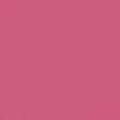 تینت لب شیگلم CHEEKY CSHEGLAM TAKE A HINT LIP TINT