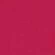 تینت لب شیگلم OBSESSED SHEGLAM TAKE A HINT LIP TINT