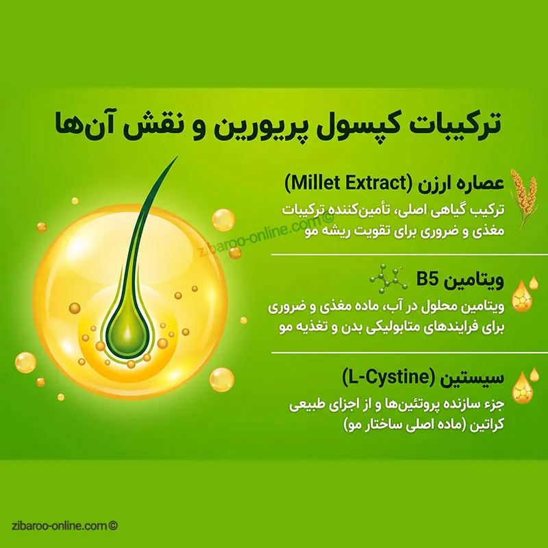 ترکیبات پریورین چیست و چه نقشی دارند؟